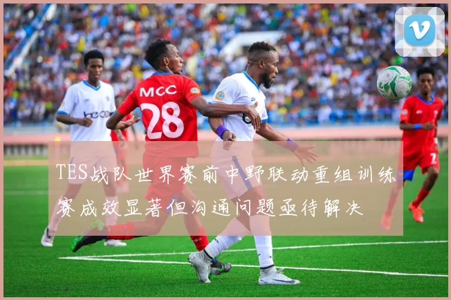 TES战队世界赛前中野联动重组训练赛成效显著但沟通问题亟待解决