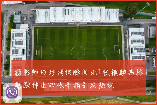 摄影师巧妙捕捉瞬间比1张镇麟弗格默默伸出四根手指引发热议