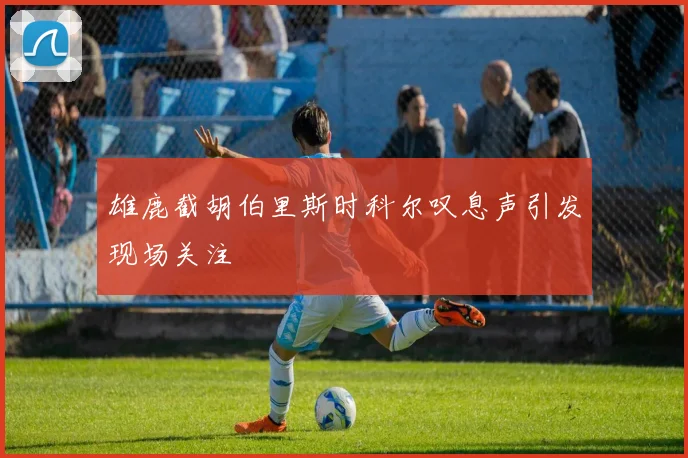 雄鹿截胡伯里斯时科尔叹息声引发现场关注